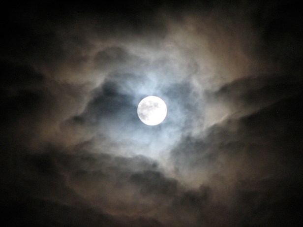 moonlight